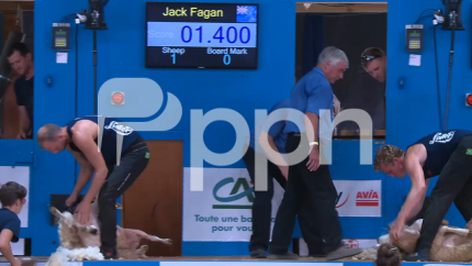 2019 World sheep shearing championship